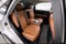 2015 Lexus RX 350 Crafted Line