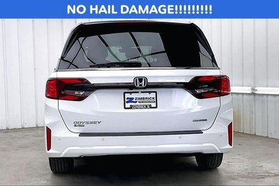 2025 Honda Odyssey Touring