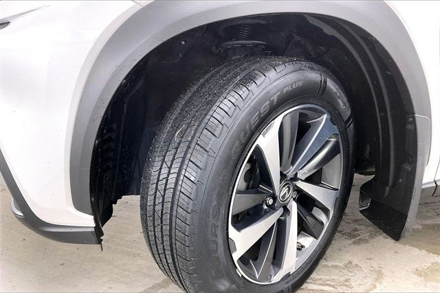 2019 Lexus NX 300 F Sport