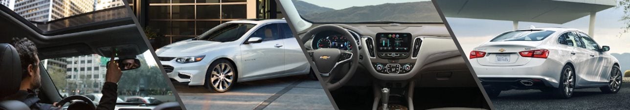 New 2019 Chevrolet Malibu for Sale Madison WI