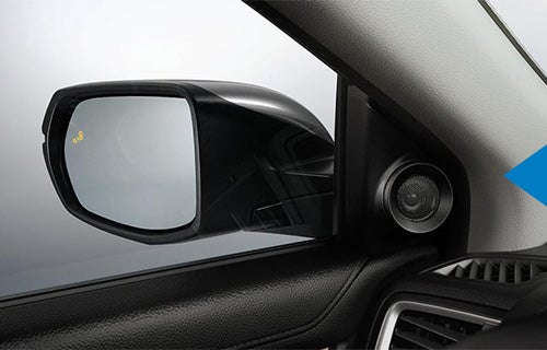 Blind Spot Information System